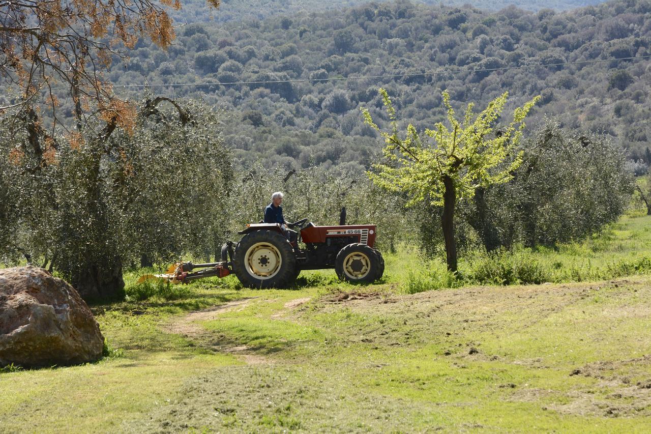 Giardino Di Maremma Villa Grosseto Esterno foto