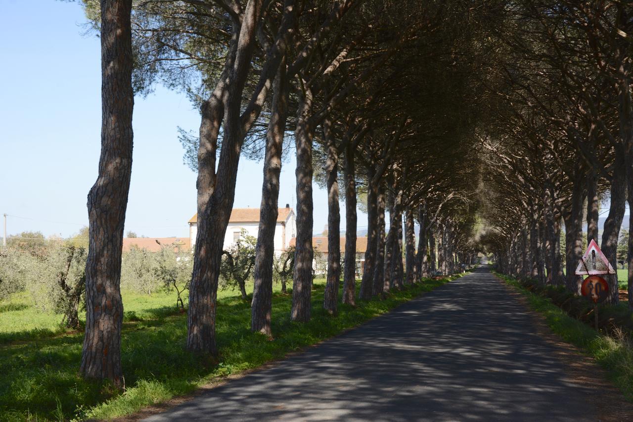 Giardino Di Maremma Villa Grosseto Esterno foto