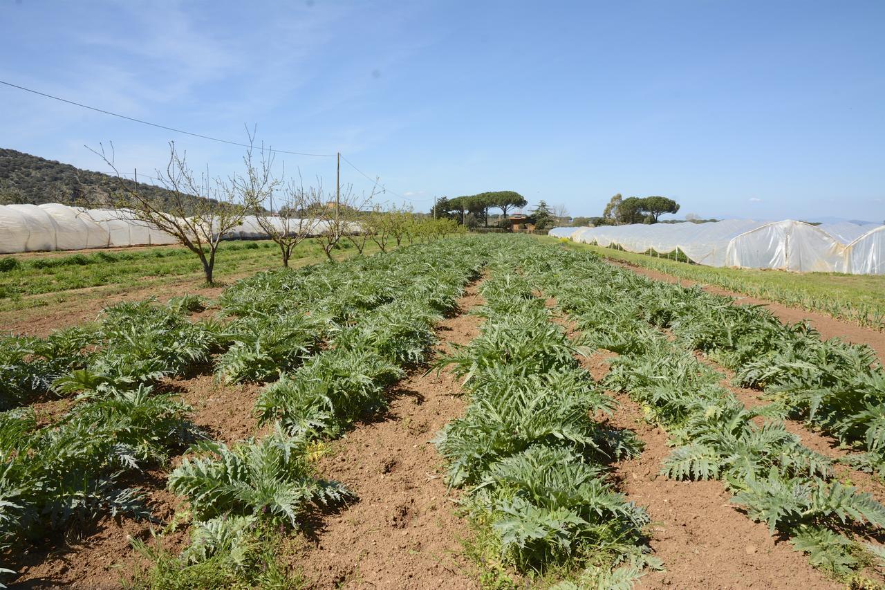 Giardino Di Maremma Villa Grosseto Esterno foto