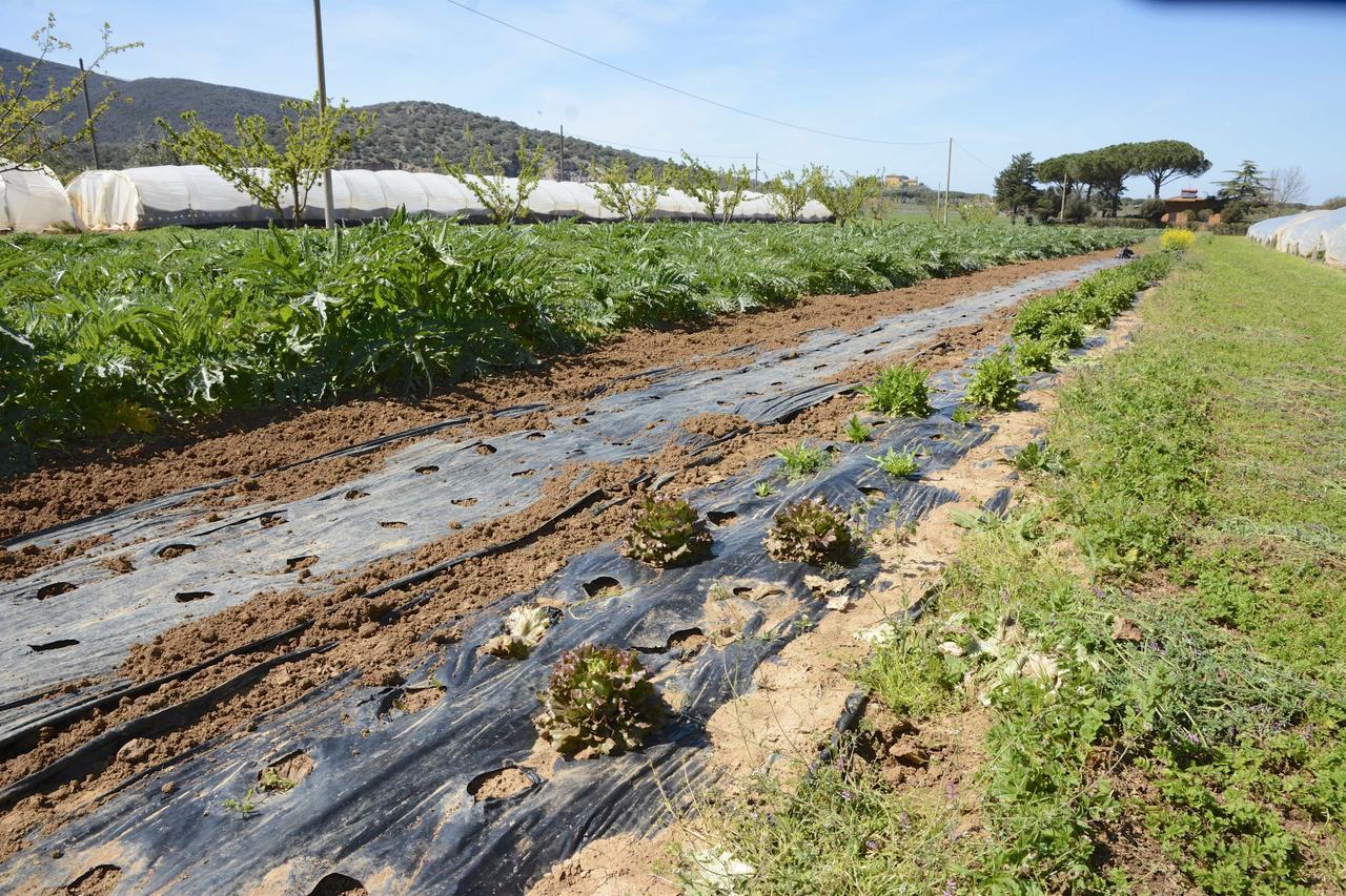 Giardino Di Maremma Villa Grosseto Esterno foto