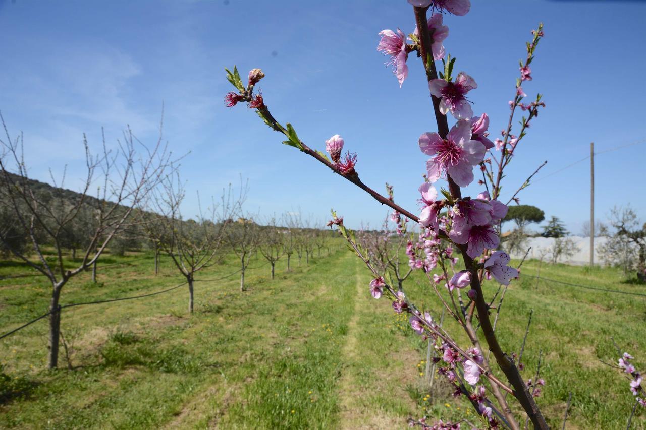 Giardino Di Maremma Villa Grosseto Esterno foto