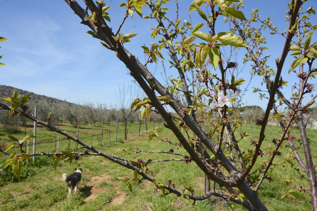 Giardino Di Maremma Villa Grosseto Esterno foto