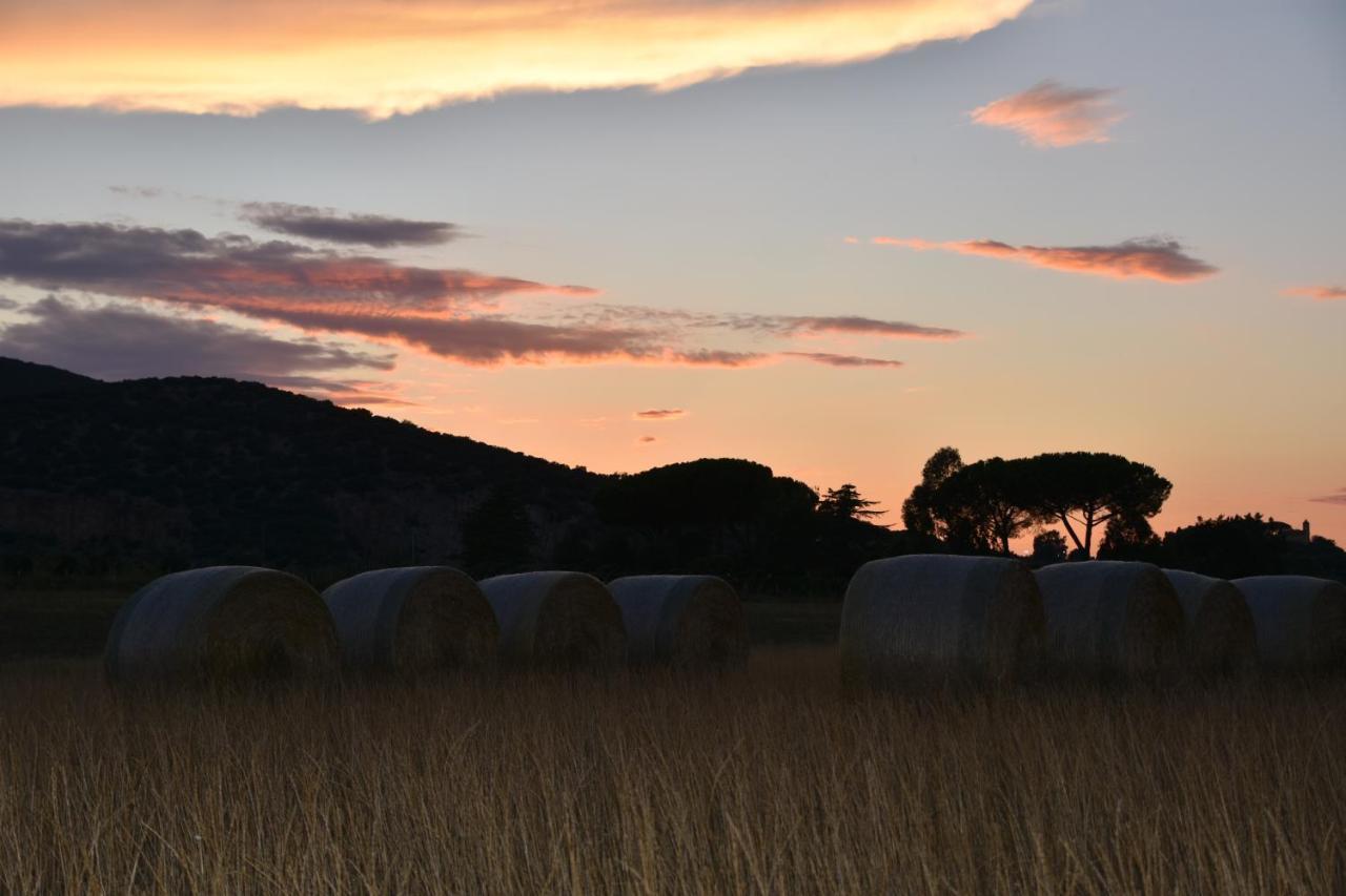 Giardino Di Maremma Villa Grosseto Esterno foto